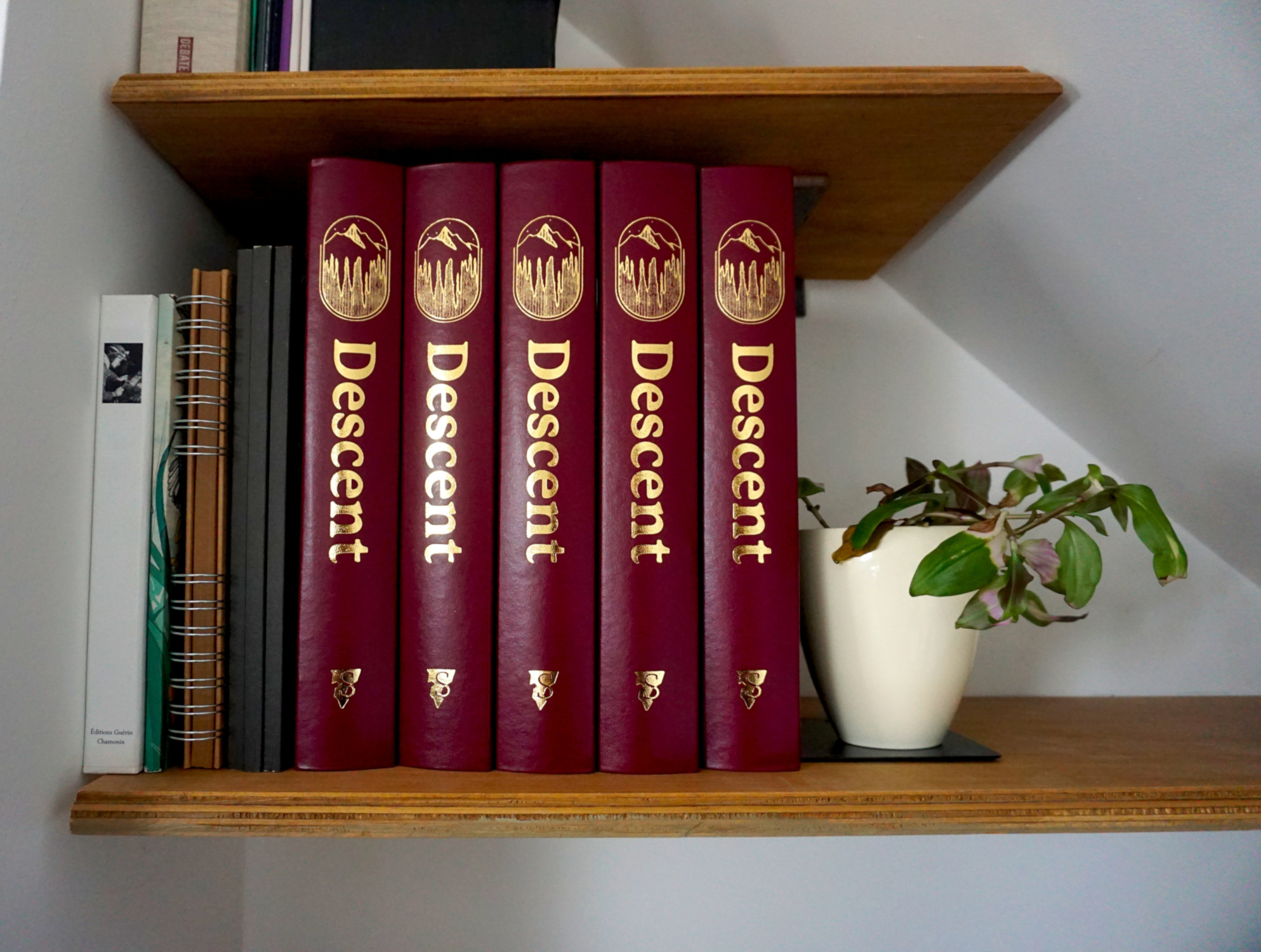 Descent magazine binders with gold lettering for 12 issues