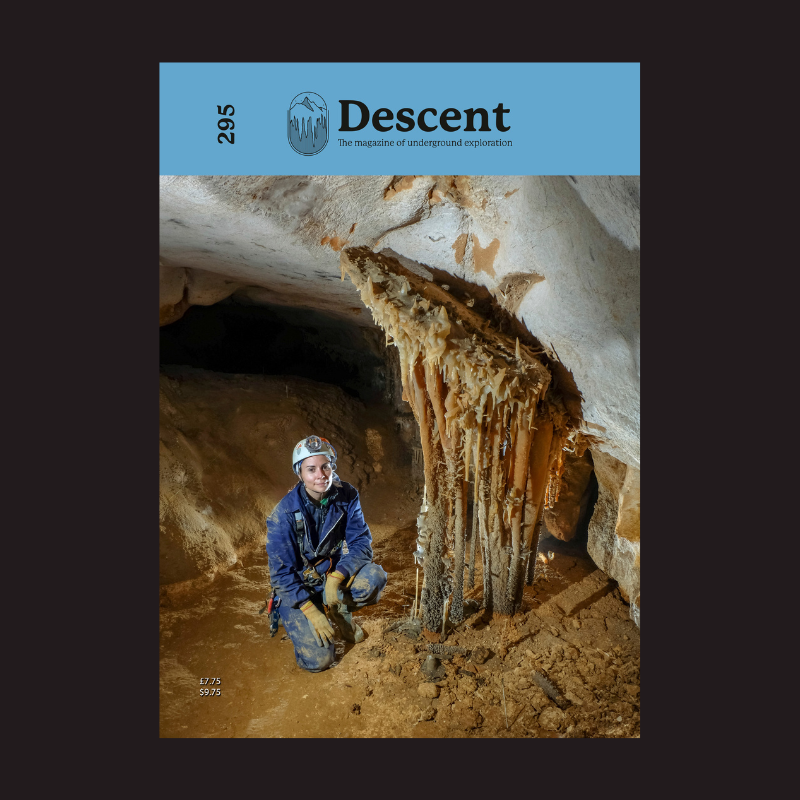 Descent 295 cover