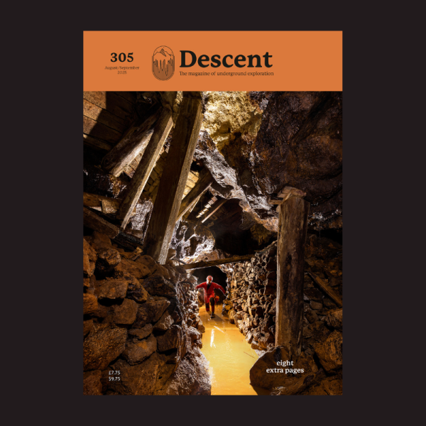 Issue 305 cover