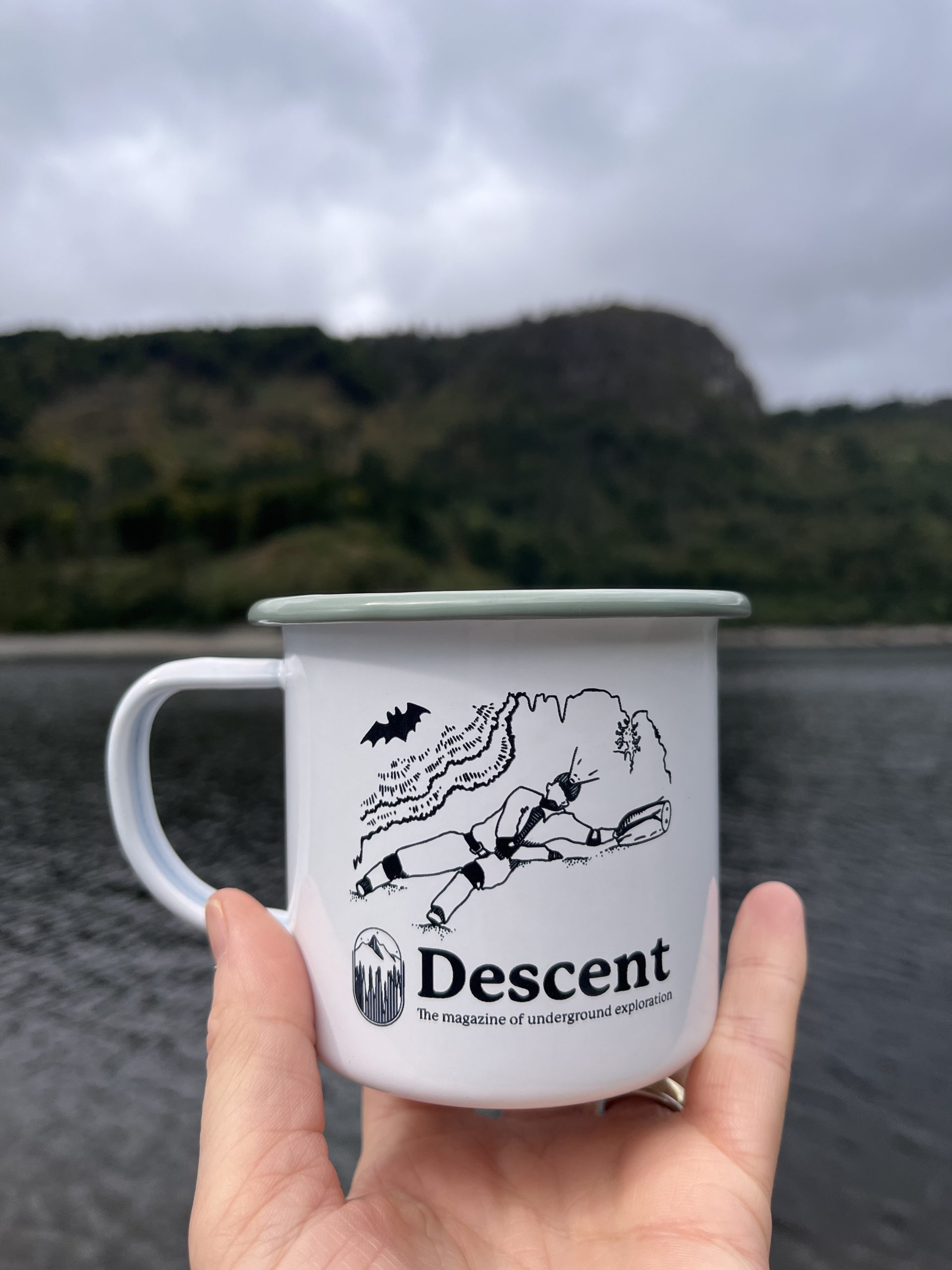 Expedition mug in sage